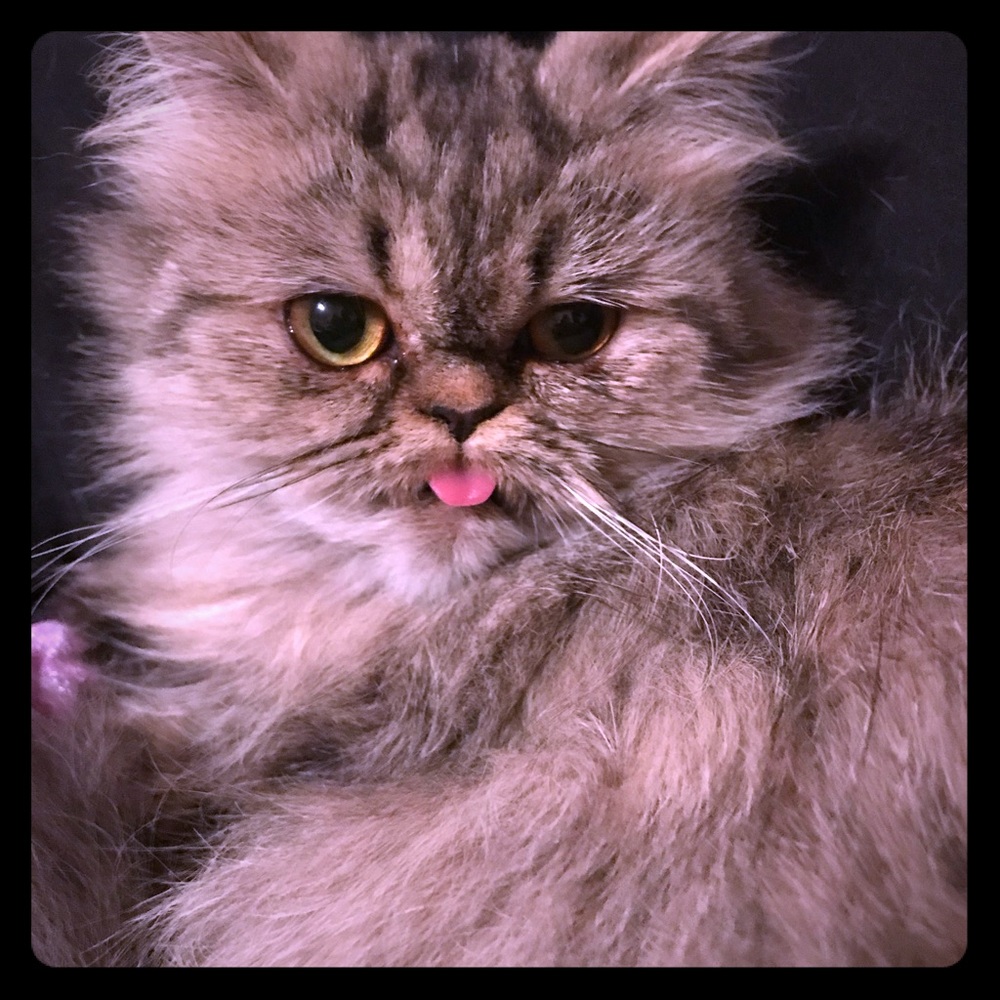 😳😲EVERYTHING HALF PRICE WHEN YOU BUY THREE OR MORE ITEMS!!!🎈🎈🎈🎈🎉🎉🎉🎉😳